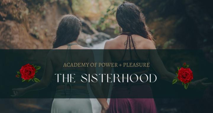 Academy of Power + Pleasure