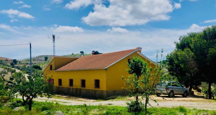 Activated Living - The Landing