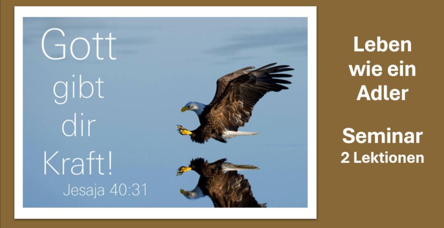 Seminar / Bonus / Leben wie ein Adler