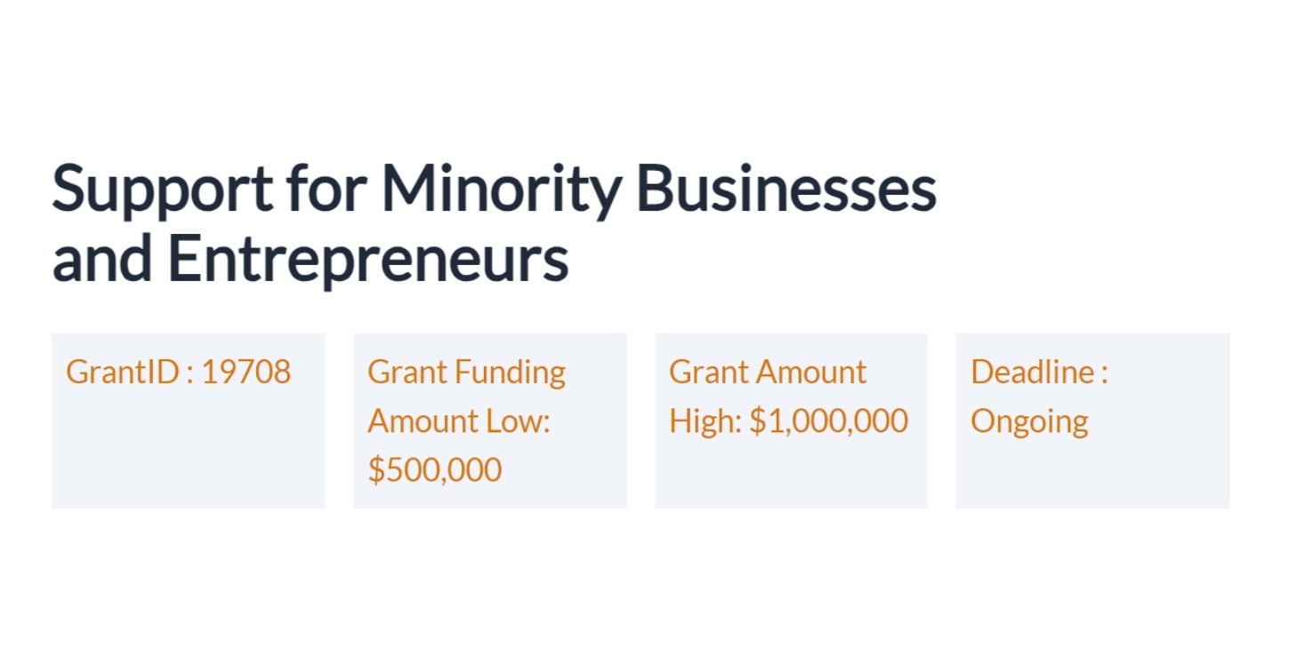 Support for Minority Businesses and Entrepreneurs