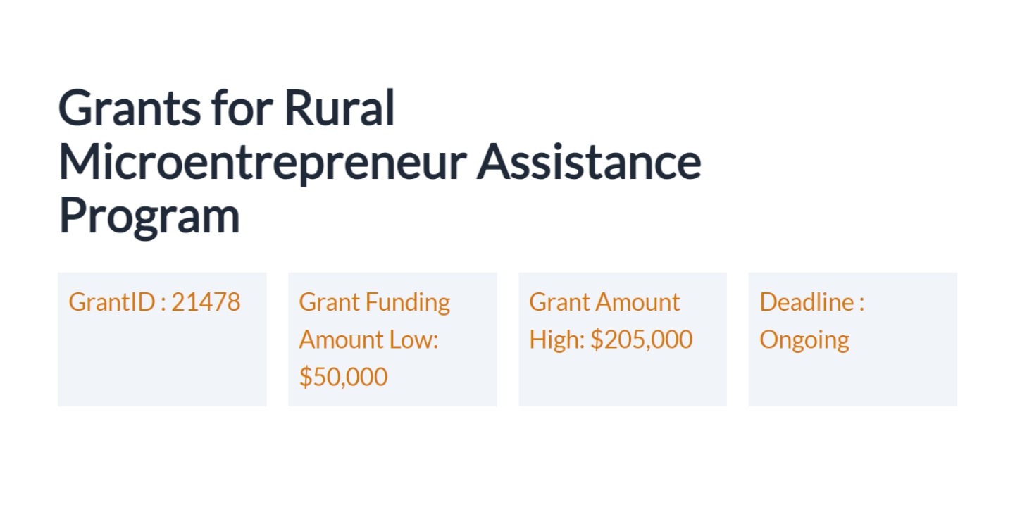 Rural Microentrepreneur Assistance Grants