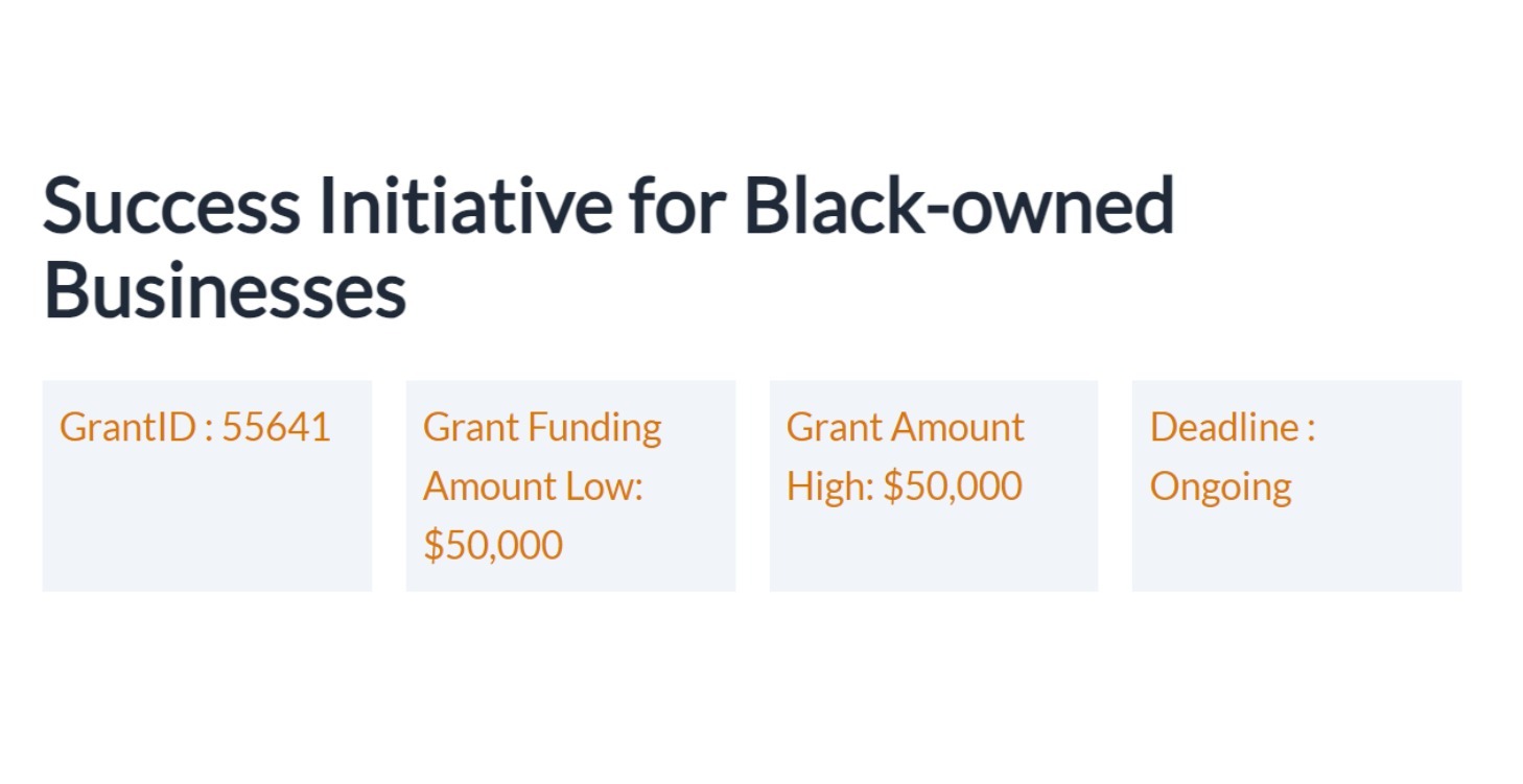 ⁠Success Initiative for Black-owned Businesses