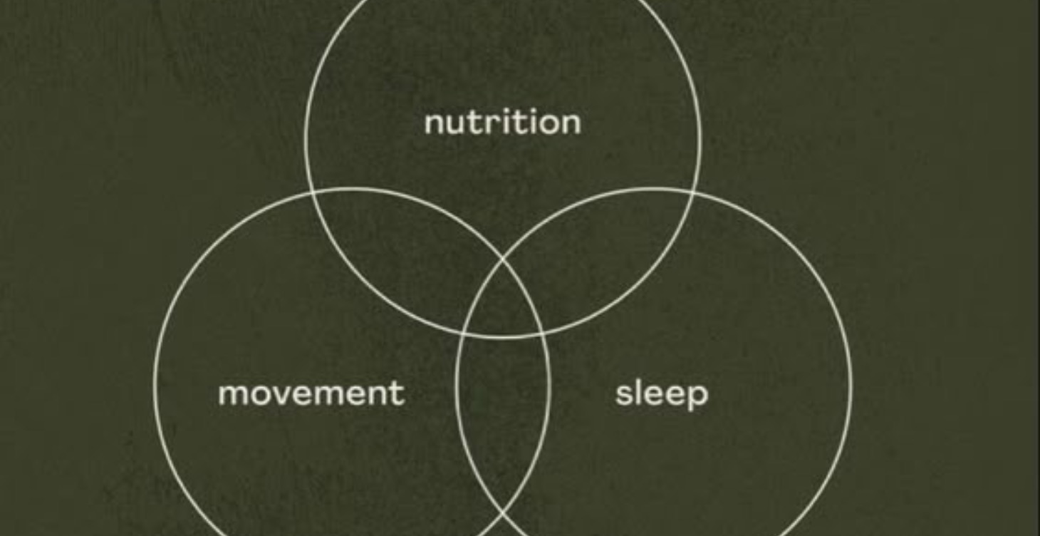 Fitness and Nutrition Accelerator