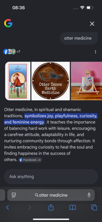 River Otter Medicine