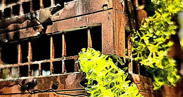 Urban decay