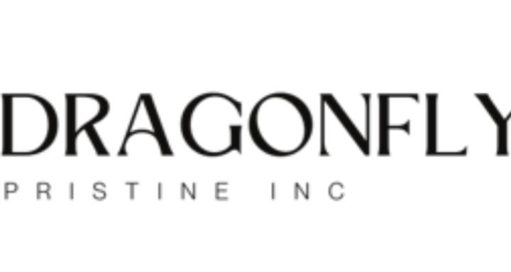 Dragon Fly Consulting