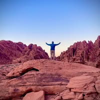 Mitchell Kornfield