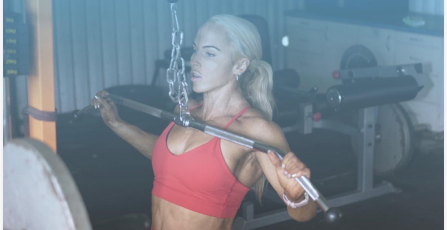 6 WEEK AESTHETIC PROGRAM for the HOME or GLOBO GYM