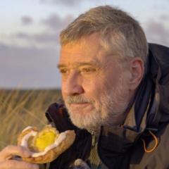 Werner Wilmes
