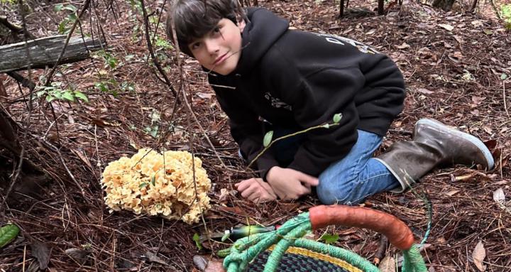 Wild Edible Mushroom Foraging
