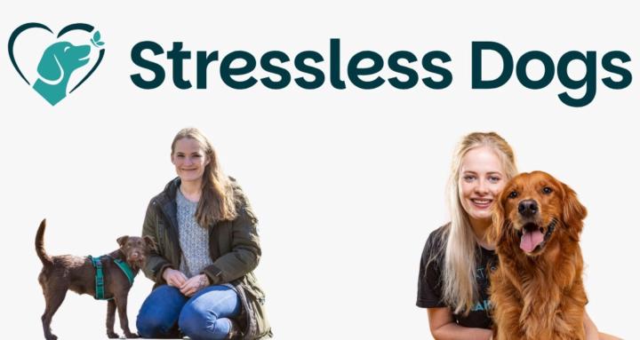 Stressless Dogs