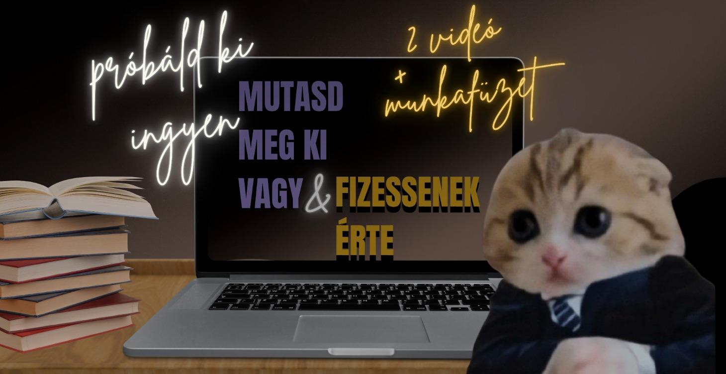 minitréning  Mutasd meg ki vagy és fizessenek érte