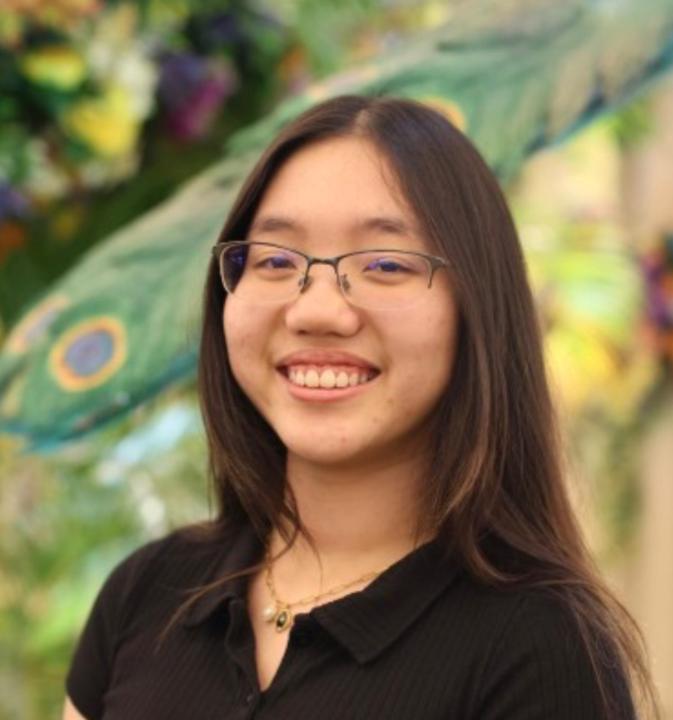 Minh ha Nguyen