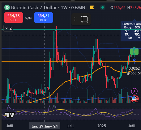 📊 [TRADE SWING] – BCH/USD – Entrée Weekly – Setup : Double Bottom