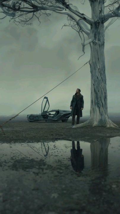 Alexander Murdock