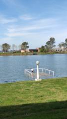 Marcelo ruben Storino