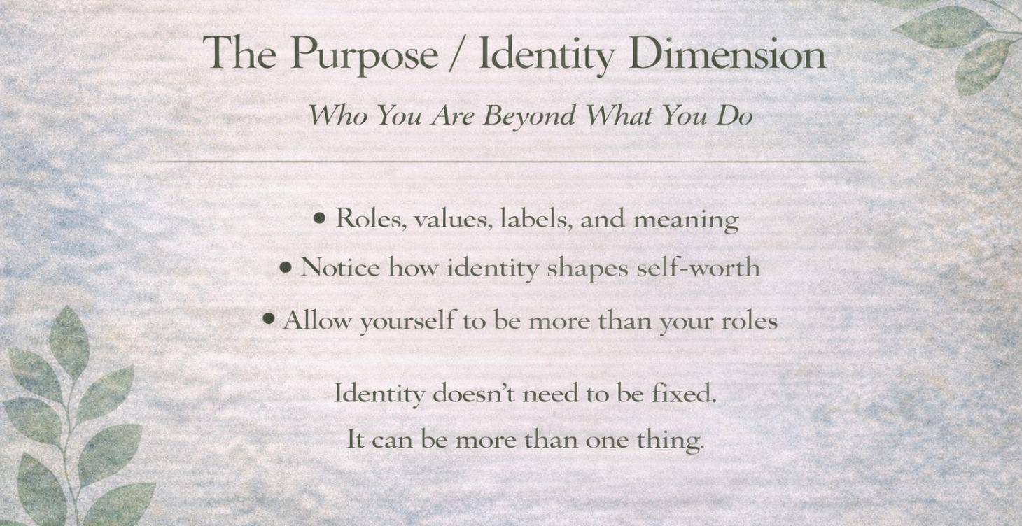 The Purpose/Identity Dimension