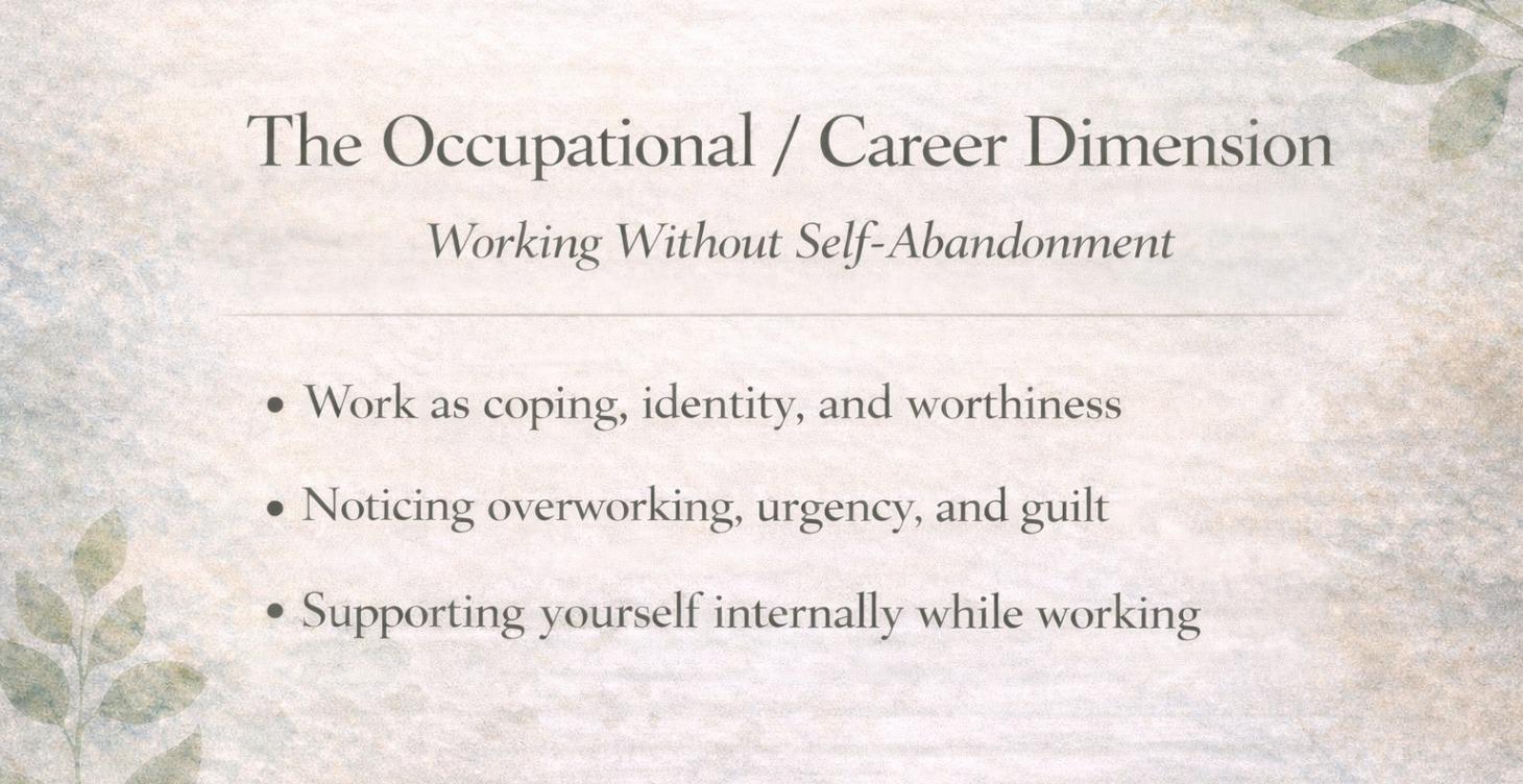 The Occupational / Career Dimension