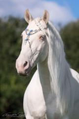 Daniela Schejbalová