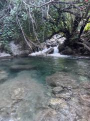 Sebastián Vargas Mérida