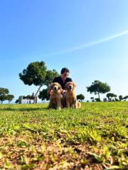 Julio Morales Dellisanti