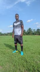 Enone Elvis