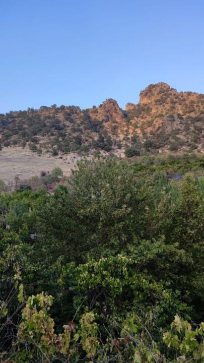 Saynab Bint Bernhard