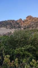 Saynab Bint Bernhard