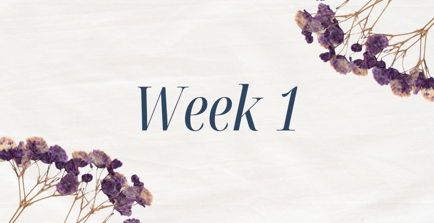 Chronological Study | Week 1