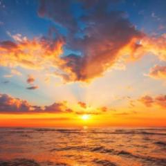 Mark and Viv Schlueter