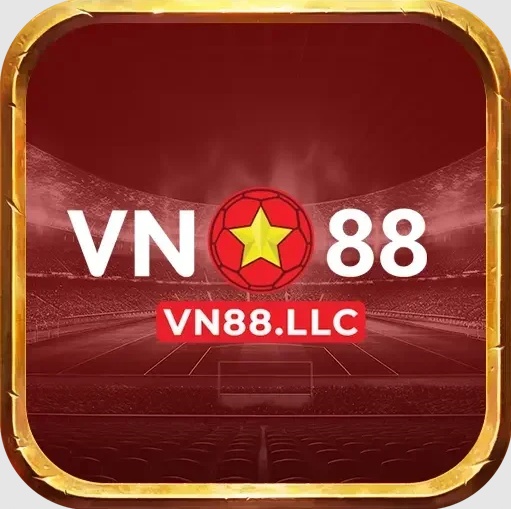 Vn Llc