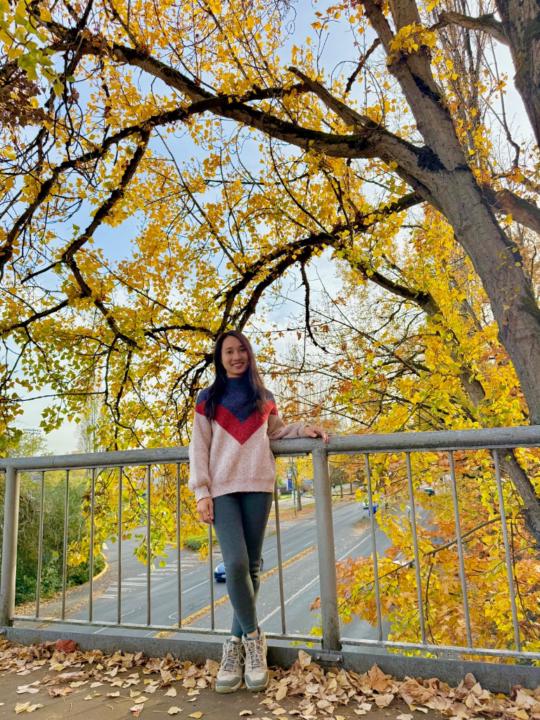 Lan Anh Nguyễn Thị