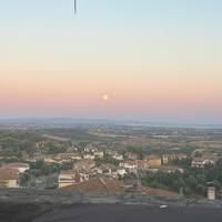 Frida Sæveraas Johansen