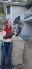 B. p. Wolf