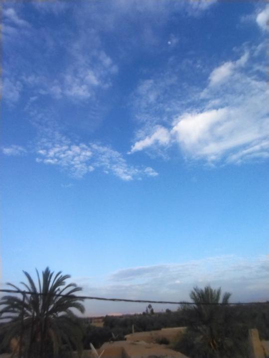 Fouzia Mouknaa