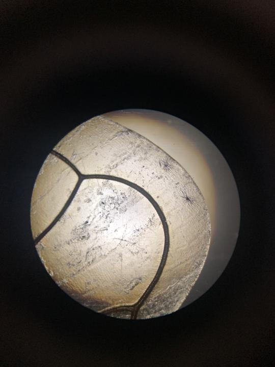 What was your first?