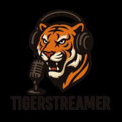Skytiger Gaming