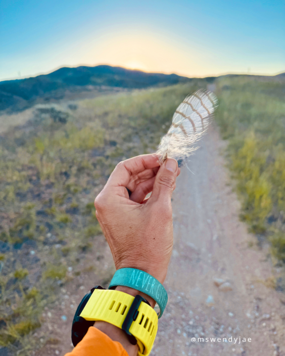 Feather always find me but...