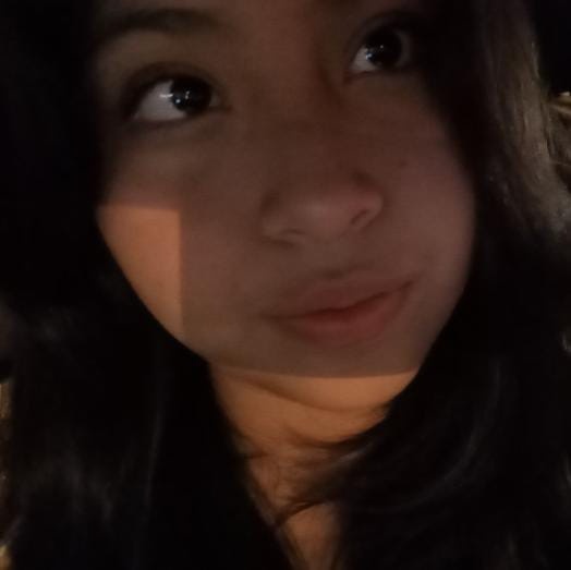Karina alexandra Torrejon galvez