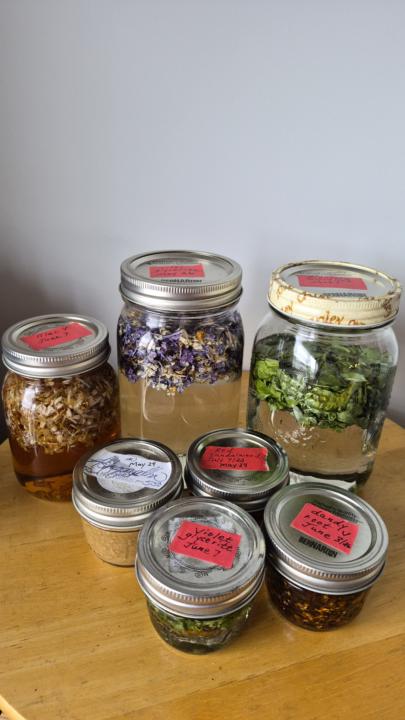 The Season for Making Herbals