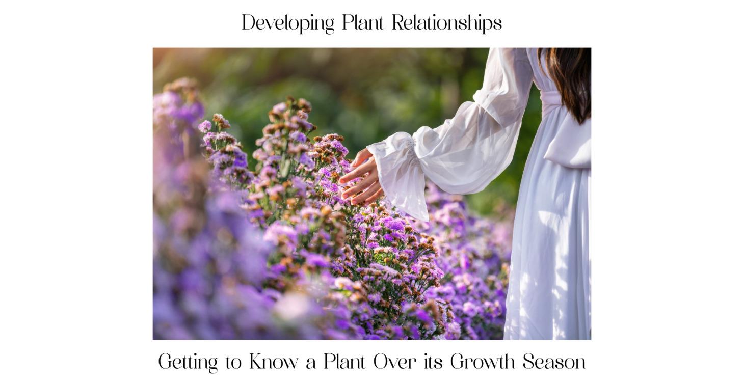 Devloping a Plant Relationship