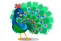 Amy Peacock