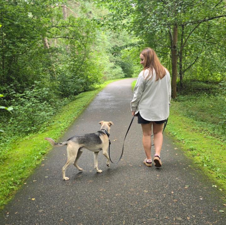 Beatričė Škėlaitė