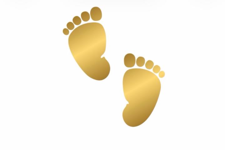 Tiny Steps Curriculum