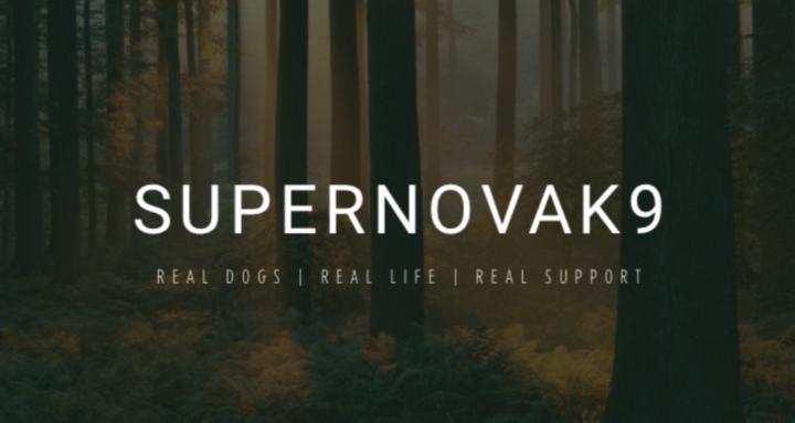 SupernovaK9
