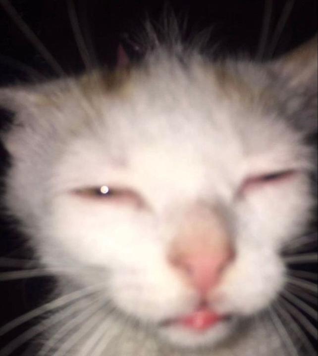 Mateusz Pulit
