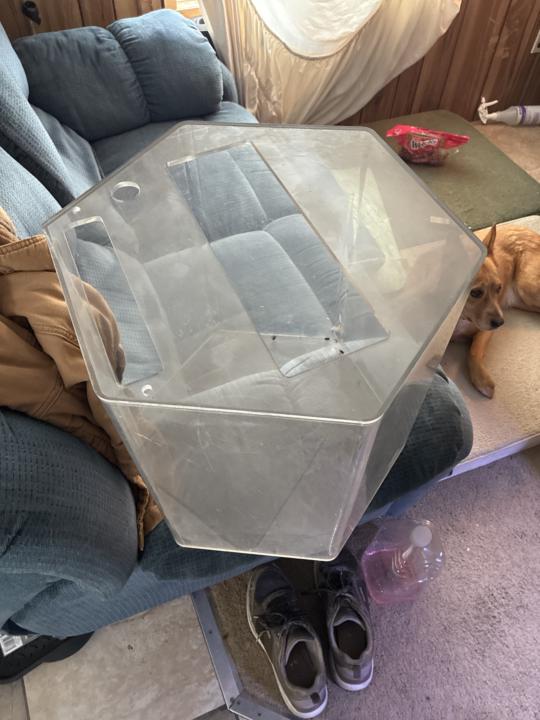 New project in light of loss