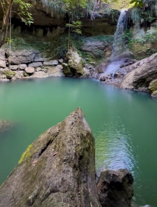 Carolina Jimenez Elgueta