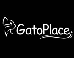 Gabriel Cabezon viana santos