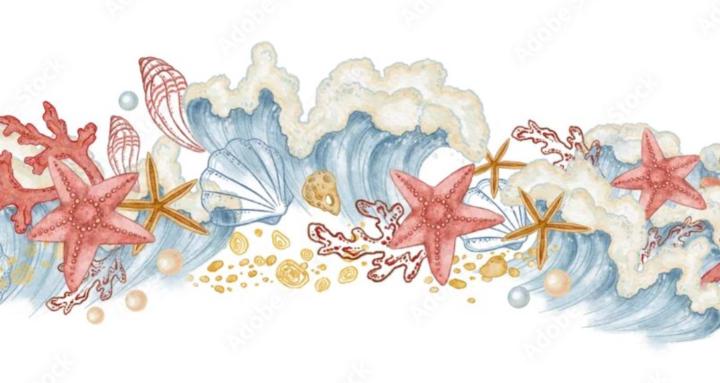 The Women Dive Guide 🩷